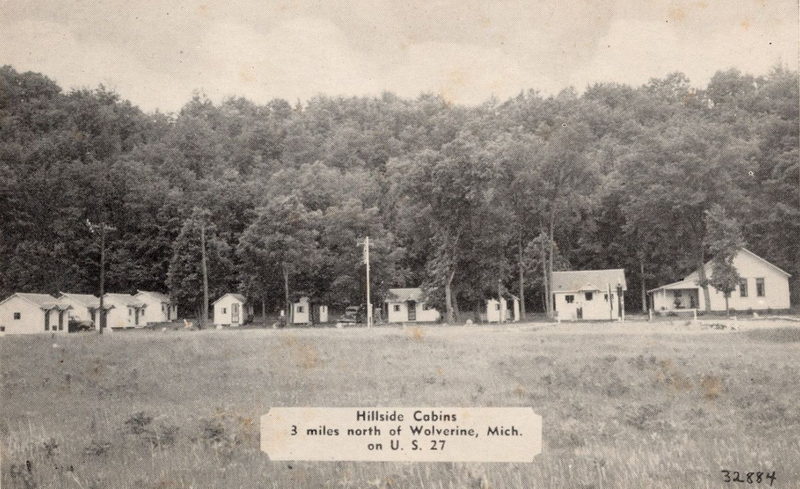 Hillside Cabins - Vintage Postcard